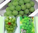 【期間限定お得価格】 「岡山特産」桃太郎ぶどう(1