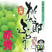 ★岡山特産「桃太郎ぶどう(皮ごと食べれる）」2房：1.4kg以上[赤秀]　ハウス栽培 