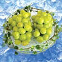 【発送は11/15まで】☆「岡山特産」桃太郎ぶどう!2房入り(1.3kg)皮まで食べれてしかも種なし! 【smtb-kd】 【10P14Nov13】