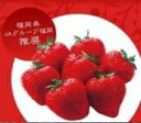 博多あまおう (箱入り) 1kg
