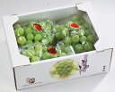 「岡山特産」桃太郎ぶどう!【青秀】3房~5房:2kg ★皮ごと食べれて、おどろきの種なし!