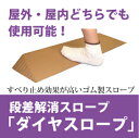段差解消スロープ 室内・屋外用 ダイヤスロープ DS76-25 高さ2.5cm×幅76cm ビス穴あり /シンエイテクノ