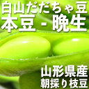 庄内 白山産 だだちゃ豆 茶豆 本豆 晩生 2kg 【2018年冷凍】（500g野菜鮮度保持パック×4袋）