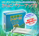 海藻青汁ゴールド・EX （3g×30袋）送料無料★ポイント10倍！海藻だから苦くない♪ミネラルと乳酸菌たっぷりダイエット 