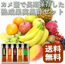 黒酢の杜 鹿児島県産 熟成された健康果実黒酢セット【りんご黒酢、ブルーベリー黒酢、マンゴー黒酢、サトウキビ酢、オリジナル黒酢】各200ml