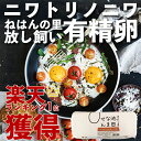池田なません ニワトリノニワ 有精卵 2パック 20個 (10個入り x 2パック)【生卵かけご飯】が最高【ニワトリノニワの池田なません】(産卵数激減のため出荷は11月中旬となります)