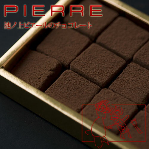 【 15個入】池ノ上ピエールの生チョコレート「ショコラ・ド・フレ」