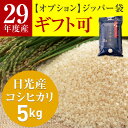 新米 米 5kg 送料無料 29年度産 コシヒカリ