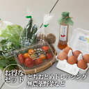【送料無料】【クーポン利用で30%OFF】完熟とちおとめドレッシングと市貝で育った平飼い鶏卵と旬の無農薬野菜のセット