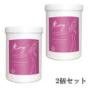 美cinq GPトリートメント1000ml 【2個セット】【送料無料】