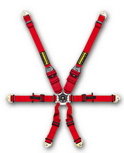 SCHROTHiVXjPROFI II-6H@6_[VOn[lXiV[gxgjvtB 2-6H HANSdl