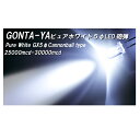 LED キャノンボール(砲弾型) ピュアホワイト (5mm球) 500本入り L82 ごんた屋