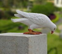 ガーデンオーナメント 置物 たたずむ白い鳩 (Cタイプ)