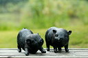 ガーデンオブジェ 置物 伸びをする子ブタ リアル風 カントリー 2個セット (ブラック)
