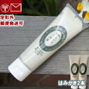 ボディクレイ ねんどのハミガキ 100g×2本 モンモリロナイト 歯磨き【定形外郵便送料無料】;