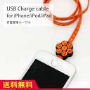 送料無料 ドラゴンボールZ iPhone iPod iPadケーブル 充電ケーブル iPhone7 iPhone7 Plus iPhoneSE iPhone6s iPhone6s Plus iPhone5s iPod nano7 iPod touch5 充電コード オレンジ 漫画 キャラクター
