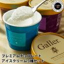 高級 ギフト お取り寄せ ブランド スイーツ【ベルギー 王室御用達 ガレー 公式 プレミアム アイスクリーム 3種詰め合わせ(12個入 各100ml×4)】【同梱・代引不可】 バレンタイン プレゼント 誕生日 内祝い 退職祝い