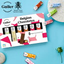 ベルギー王室御用達 チョコレート ガレー ミニバー6個入【 お返し 2021 高級 チョコ スイーツ お菓子 詰め合わせ セット 結婚 出産 内祝い 結婚祝い 出産祝い 退職 ご挨拶 誕生日 プレゼント プチギフト 小分け 個包装 職場 会社 手土産 】