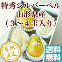 お年賀 御年賀【特秀】西洋梨 シルバーベ...