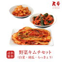 【送料無料】キムチセット (白菜 胡瓜 らっきょう)【キムチ 国産 贈り物 お取り寄せ ギフト 株漬け 手塗り 韓国 唐辛子 乳酸菌 発酵 発酵食品 天平キムチ プレゼント 御歳暮 お歳暮 歳暮 帰省土産】