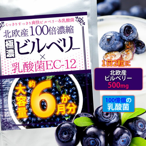 【送料無料】大容量約6か月分 北欧産100倍濃縮ビルベリー&乳酸菌EC-12 360粒【ヤマト(ネコポス)ポスト投函 日時指定不可】健康 サプリメント 目 眼 アイケア 善玉菌 腸内 環境 フローラ