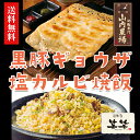 送料無料!鹿児島黒豚餃子と塩カルビ炒飯セット(冷凍・黒豚餃子...