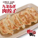 安心・安全!自社食品工場生産/国産原料100%使用★★九条ねぎ肉餃子(30個入) タレ10g×5P付き