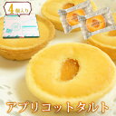 アプリコットタルト 4個セット【集まりに小分けのお菓子を】【差し入れにも最適!配りやすい個別包装の洋菓子】【来客用】