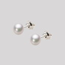 あこや真珠 パール ピアス 5.5mm アコヤ 真珠 ピアス K14WG ホワイトゴールド レディース HA00055B12WPGPA02W