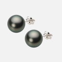 パール ピアス 10mm 黒蝶 真珠 ピアス PT900 プラチナ レディース NB00010R22PC0PA08P
