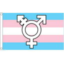 【送料無料】 国旗 LGBT トランスジェンダー シンボル 150cm × 90cm 特大 フラッグ 【受注生産】