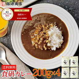 ＼1000円ポッキリ 送料無料／ 【楽天グルメ大賞】 カレー レトルト 食研カレー 200g×4袋 4人前 中辛 業務用 湯煎 温めるだけ レトルト 日本食研 惣菜 カレー ポイント消化 メール便 ギフト