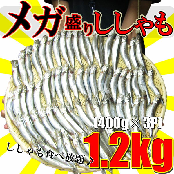 安心の国内加工!!【メガ盛り・訳あり】ししゃも食べ放題♪400g×3パック 計1.2kg!!《※冷凍便》 樺太シシャモ_干物 ランキングお取り寄せ