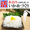 【あおり烏賊を使った】イカ糸づくり(イカソーメン)たっぷり500g《※冷凍便》