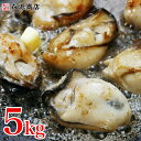 Rカード&エントリーでpt14倍確定!クーポンで40%OFF★かき 牡蠣 カキ NET5kg 播州赤穂 極旨牡蠣 デカプリオイスター 坂越牡蠣 NET500g×10P 送料無料 牡蠣鍋 バター焼き