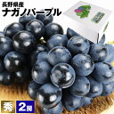 長野県産 ナガノパープル 2房 秀 種なし ぶどう 合計約800g 贈答用 皮ごと ブドウ 葡萄 露地栽培 送料無料 冷蔵便 同梱不可 指定日不可 お取り寄せグルメ 食品 備蓄 敬老の日 ギフト