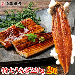 ＼2個目700円クーポン／ 特大 うなぎ 蒲焼き2尾 約220g (計約440g) 鰻 中国産 土用丑の日 ギフト