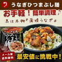 鰻ひつまぶし膳 1食分 うなぎ ひつまぶし ウナギ蒲焼《メール便限定送料無料/代引き不可/着日指定不可》 土用丑の日