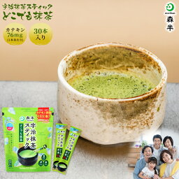 宇治抹茶スティック どこでも抹茶 30本入り 抹茶粉末 抹茶パウダー 宇治抹茶 マイボトル 森半 抹茶 グリーンティー 粉末 お茶 スティック 個包装 京都 緑茶 宇治茶 日本茶 水出し 粉末緑茶 健康 おいしい カテキン テアニン カフェイン ファミリー お試し 毎日 どこでも