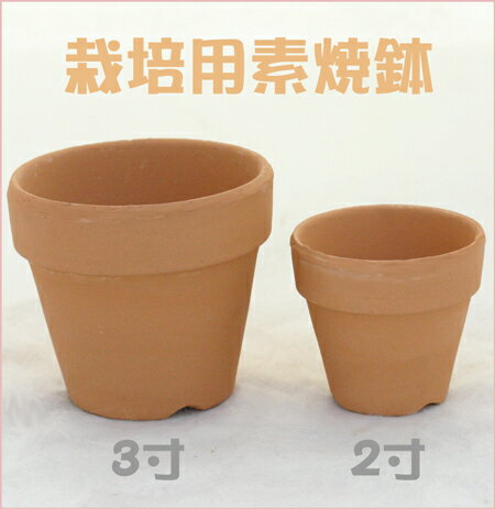 洋蘭栽培プロ用　3号素焼き鉢5鉢セット