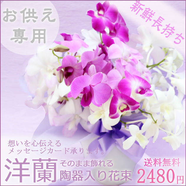「お供え用 洋蘭の花束」そのまま飾れる陶器鉢入り蘭の切花切りたてのランを白紫系で花束にしました お供え　 ご仏壇にも