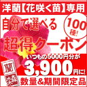 「超得クーポンサンキュー福袋3900円」　年末のあの企画が花咲く苗版で復活！もちろん全国配達・送料無料5,000円→3,900円サンキュークーポン！（注）使わないとゼッタイ損です！寒い季節もお部屋で元気なランを楽しんで頂きたい企画「花咲く苗」を一緒にお買い物カゴに入れるだけ！送料無料クーポン福袋