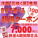 「超得ラッキー★ラッキー福袋」　花咲く苗ファンの皆様にお使い頂きたい大盛企画！もちろん全国配達・送料無料10,000円→7,000円ラッキーセブンクーポン！（注）使わないとゼッタイ損です！寒い季節もお部屋で元気なランを楽しんで頂きたい企画「花咲く苗」を一緒にお買い物カゴに入れるだけ！送料無料クーポン福袋