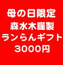 OS母の日ギフト・どれを選んだらいいか迷っている方、おまかせください！送料無料花ギフトのお悩み無用！全国送料無料お届け！母の日、お誕生日、お礼、内祝、引出物、お供えにも♪