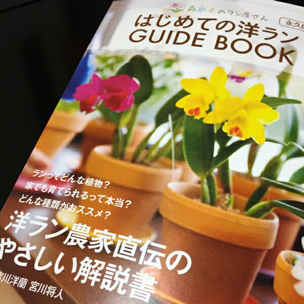 花農家3代目が洋蘭初心者のあなたに捧げる自信作 『森水木のラン屋さん謹製 はじめての洋ラン ガイドブ...:morimizuki:10001203