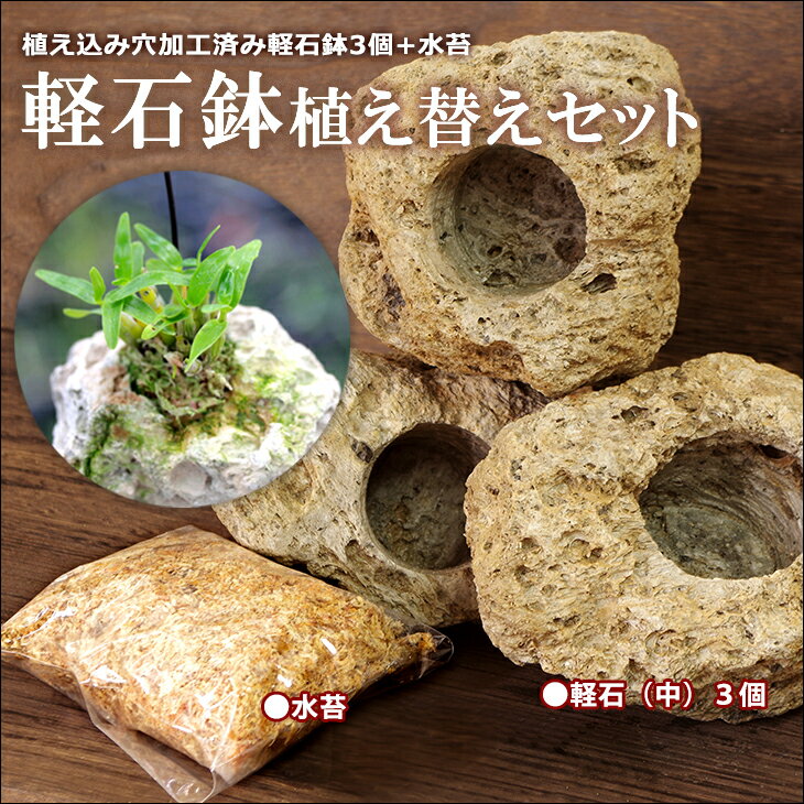 洋ランDIY 風情あるランの楽しみ方に 『洋ラン軽石栽培 すぐ出来る植え替えセット』 軽石（中3個・...:morimizuki:10001040