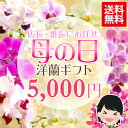 OG『母の日　ランらんギフト☆☆』 おまかせ5000母の日ギフト・どれを選んだらいいか迷っている方、おまかせください！ハズセナイ母の日ギフト、ゴージャスに贈るならコレ！そんな花ギフトのお悩み無用！全国送料無料お届け！お誕生日、昇進祝い、新築祝い、開店祝い、お供えにも♪