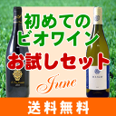 初めてのビオ6月★2本セット★●サン・ニコラ・ド・ブルグイユ　ヴォー・ジョミエ[2008]コテルレ○ヴーヴレ・セック[2007]ティエリー・ピュズラ（クール便指定は別途200円） あす楽対応ビオワイン：自然派