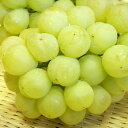 岡山産 桃太郎ぶどう特大房(約800g?1100g×1房)大粒・種なし、皮ごとそのまま食べられます!外はパリッと中身はとっても甘くてジューシー♪(フルーツ/果物/ぶどう/葡萄/ブドウ/岡山/送料無料)【2012_野球_sale】