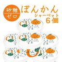 おいしくってゼロ ぽんかんシャーベット6個セット/高知アイス...